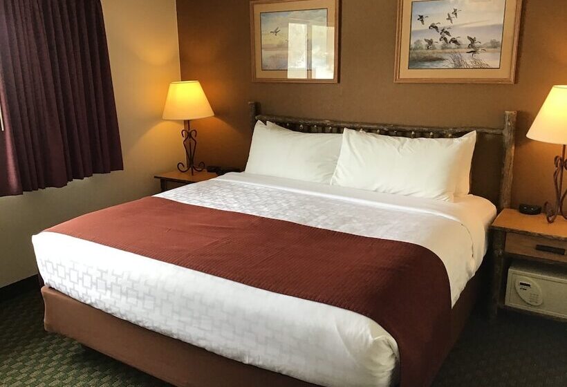 ホテル Americinn By Wyndham Cody