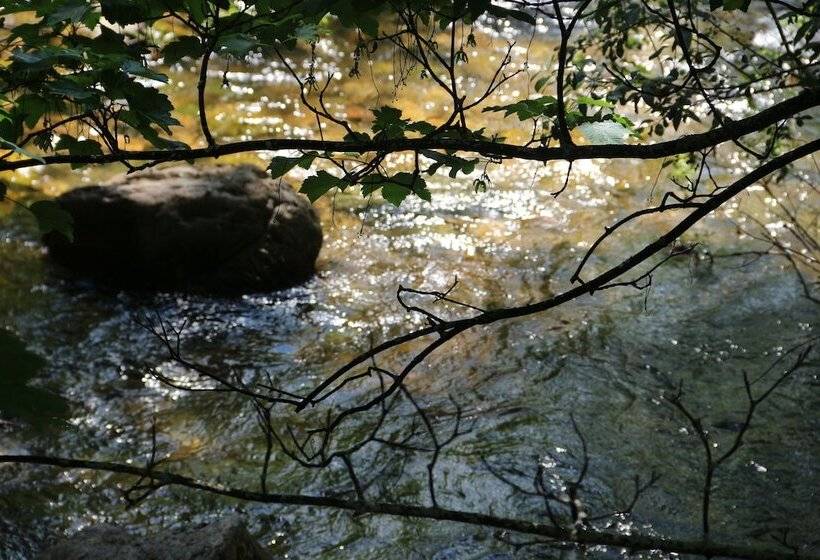 ホテル Balneario Caldas De Luna