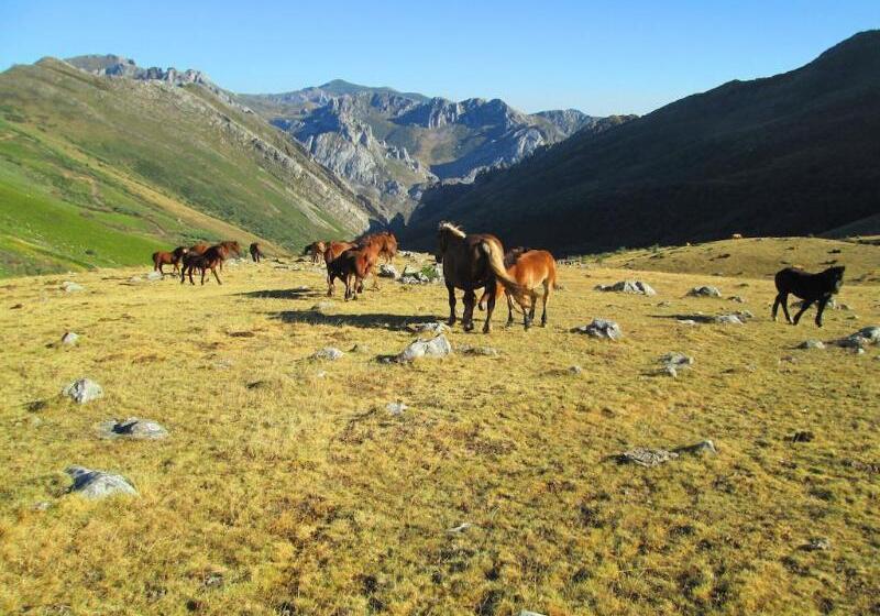 ホテル Balneario Caldas De Luna