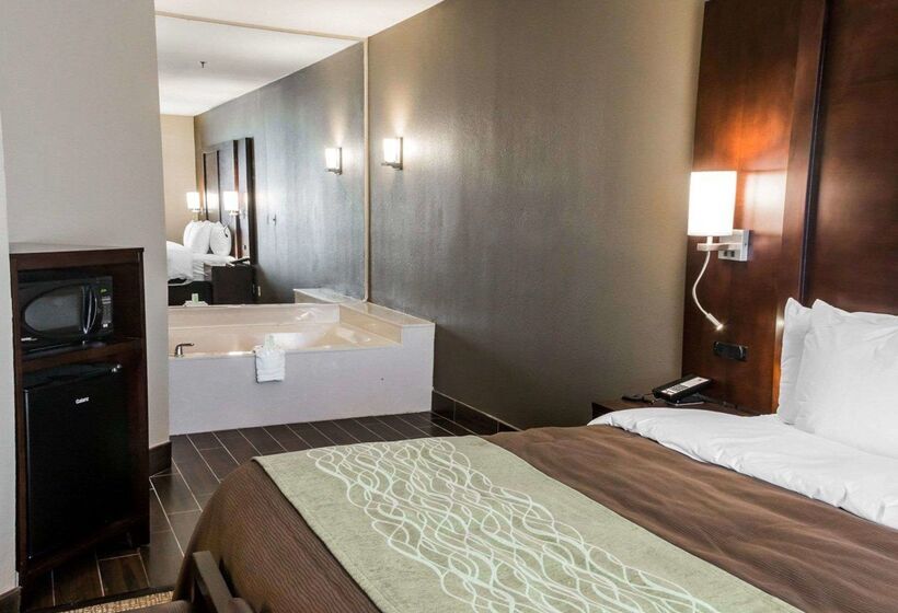 فندق Comfort Inn & Suites Pharr/mcallen