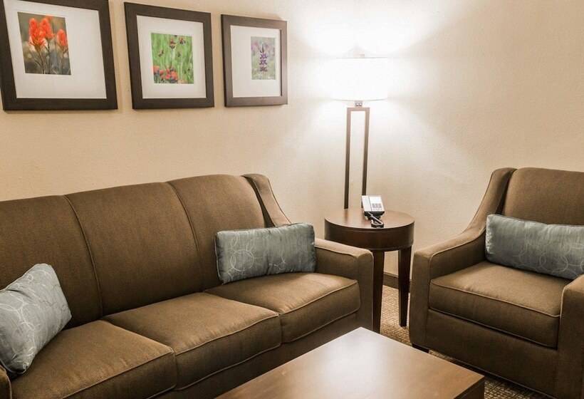 فندق Comfort Inn & Suites Pharr/mcallen