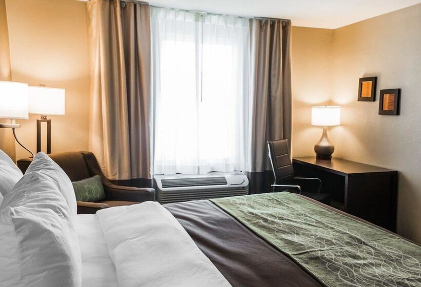 فندق Comfort Inn & Suites Pharr/mcallen