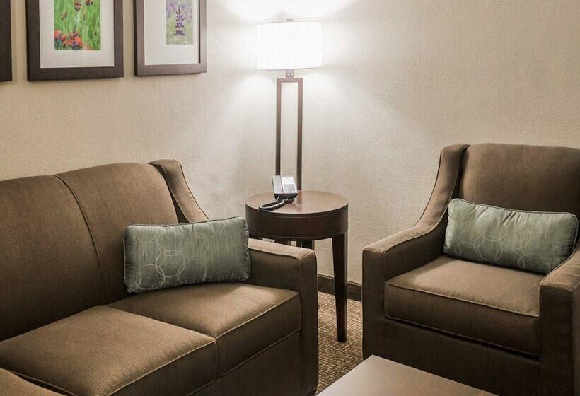 فندق Comfort Inn & Suites Pharr/mcallen