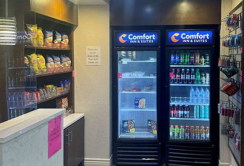 בית מלון כפרי Comfort Inn & Suites Sarasota I75