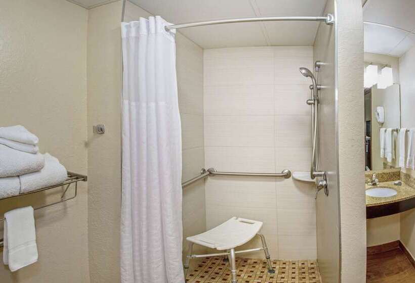 בית מלון כפרי Comfort Inn & Suites Sarasota I75