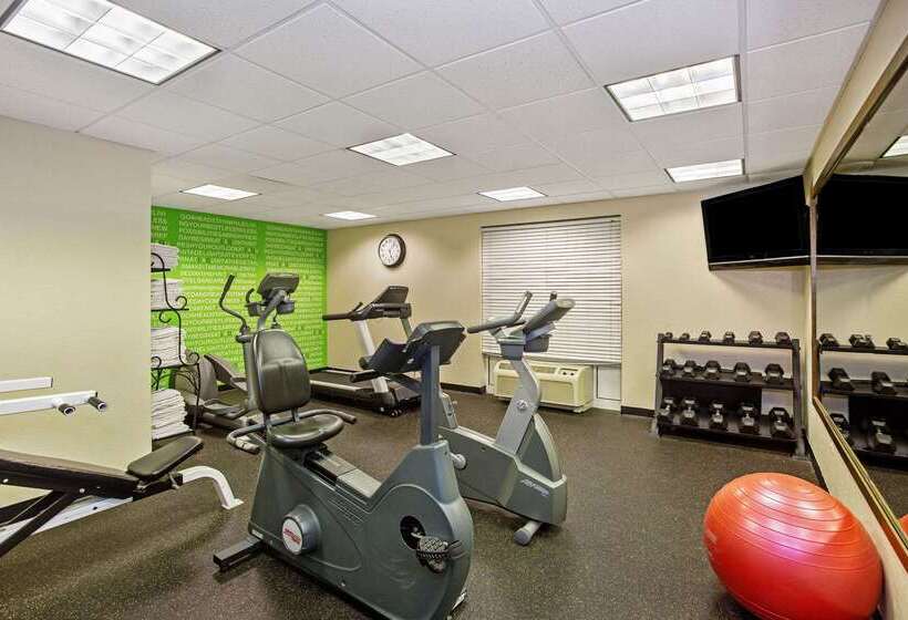 בית מלון כפרי Comfort Inn & Suites Sarasota I75