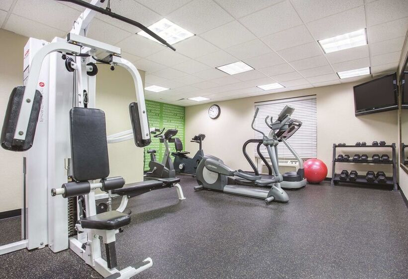 בית מלון כפרי Comfort Inn & Suites Sarasota I75