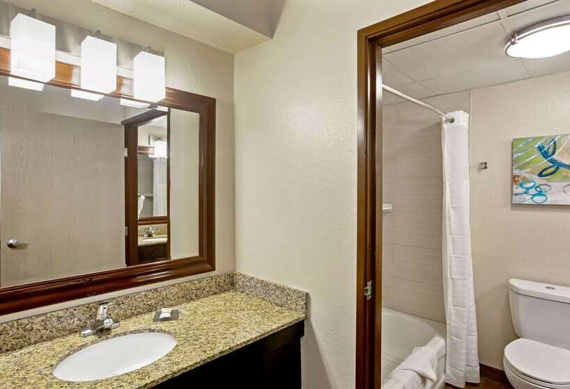 בית מלון כפרי Comfort Inn & Suites Sarasota I75
