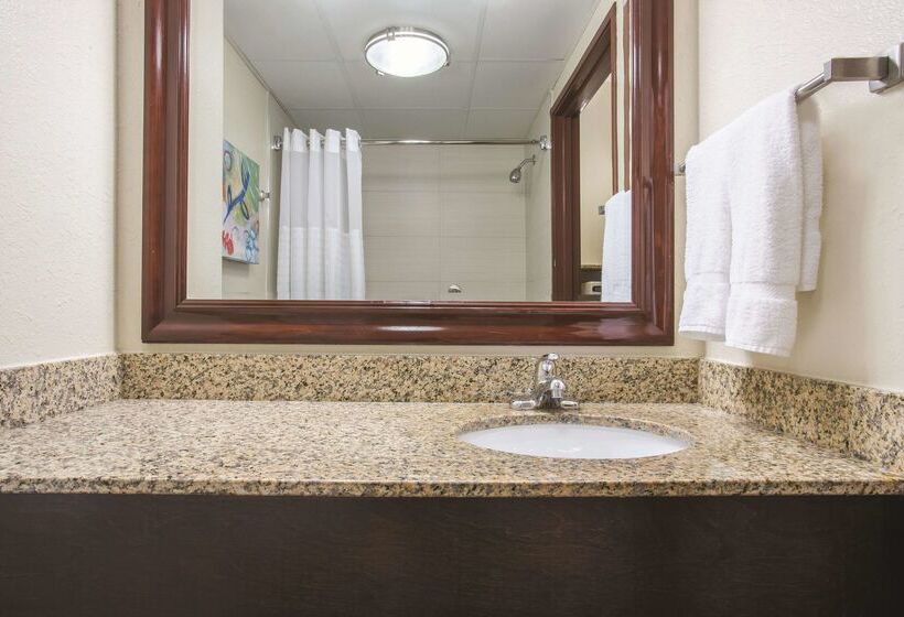 בית מלון כפרי Comfort Inn & Suites Sarasota I75