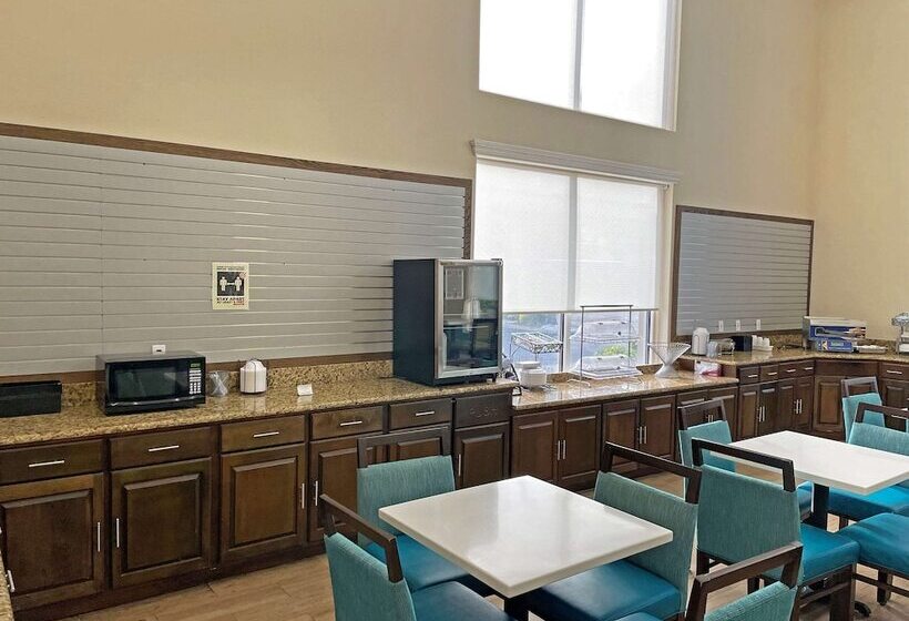 בית מלון כפרי Comfort Inn & Suites Sarasota I75