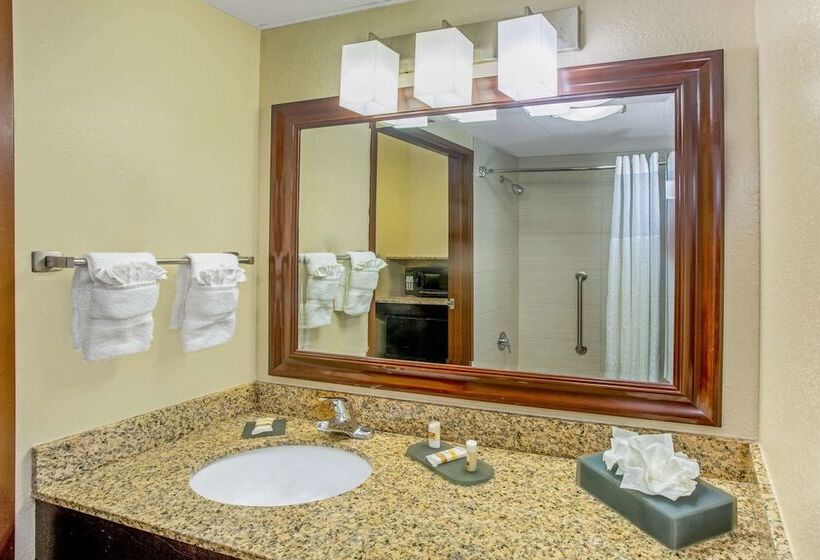 בית מלון כפרי Comfort Inn & Suites Sarasota I75