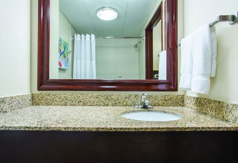 בית מלון כפרי Comfort Inn & Suites Sarasota I75