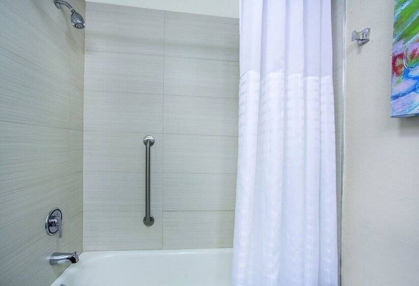 בית מלון כפרי Comfort Inn & Suites Sarasota I75