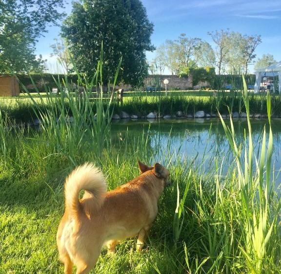 فندق Albergo Cosmera