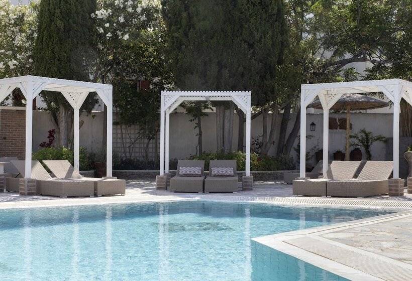 Отель Despotiko