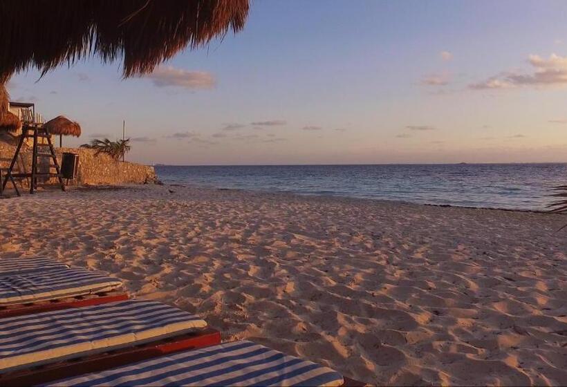 호텔 Dos Playas Faranda Cancún