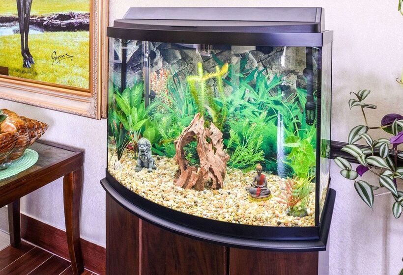 فندق Econo Lodge Inn & Suites