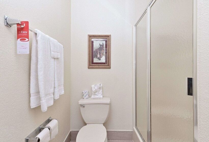 فندق Econo Lodge Inn & Suites