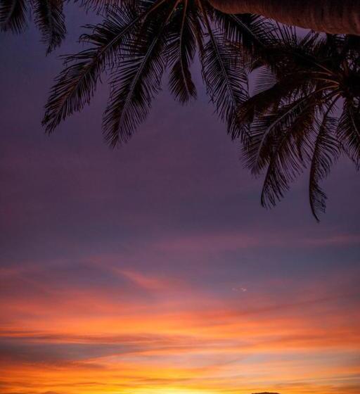 فندق El Cid El Moro Beach