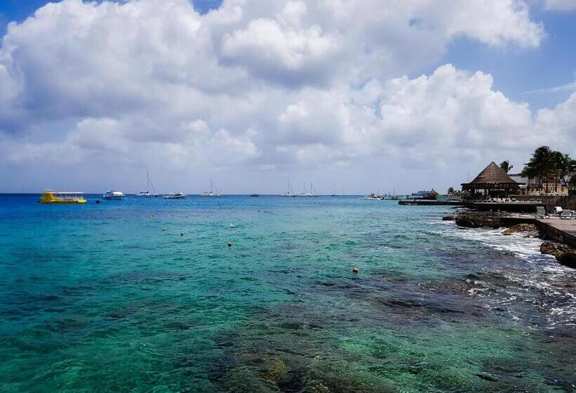 호텔 El Cid La Ceiba Beach