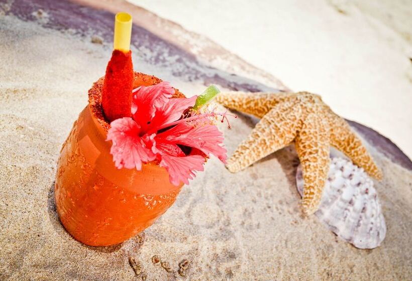 호텔 El Cid Marina Beach