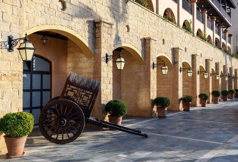 בית מלון כפרי Elysium