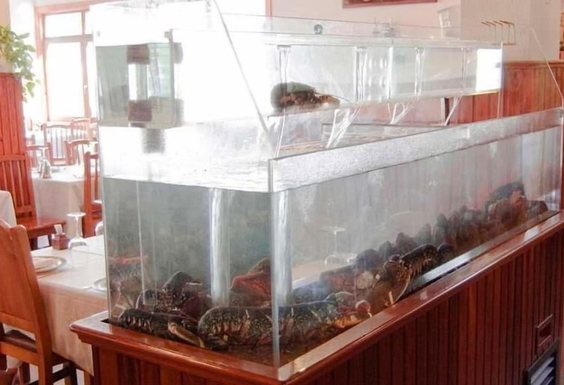 בית מלון כפרי Florida