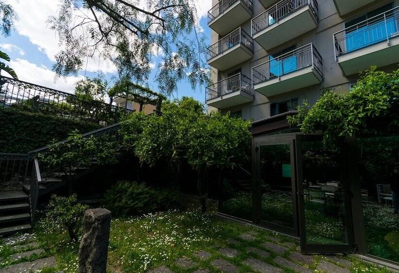 בית מלון כפרי Forum