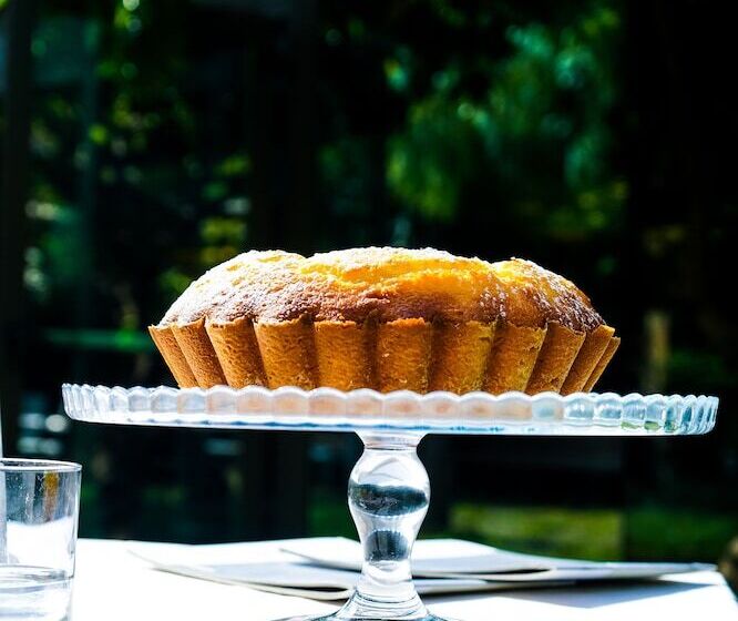 בית מלון כפרי Forum