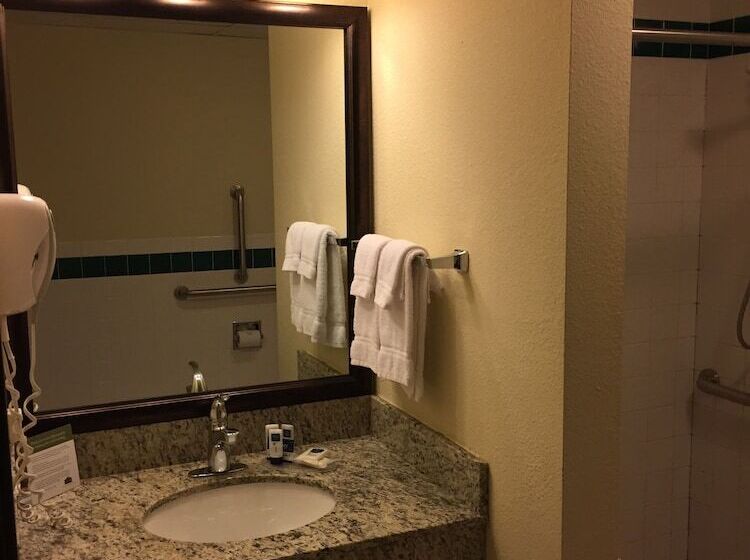 Blossom Hotel & Suites Traverse City