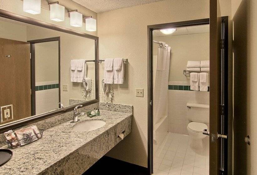 Blossom Hotel & Suites Traverse City