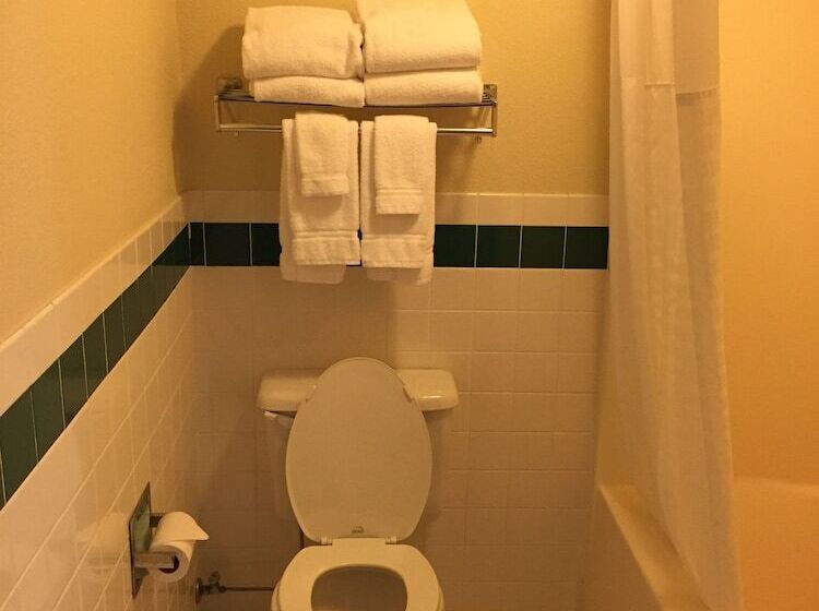 Blossom Hotel & Suites Traverse City