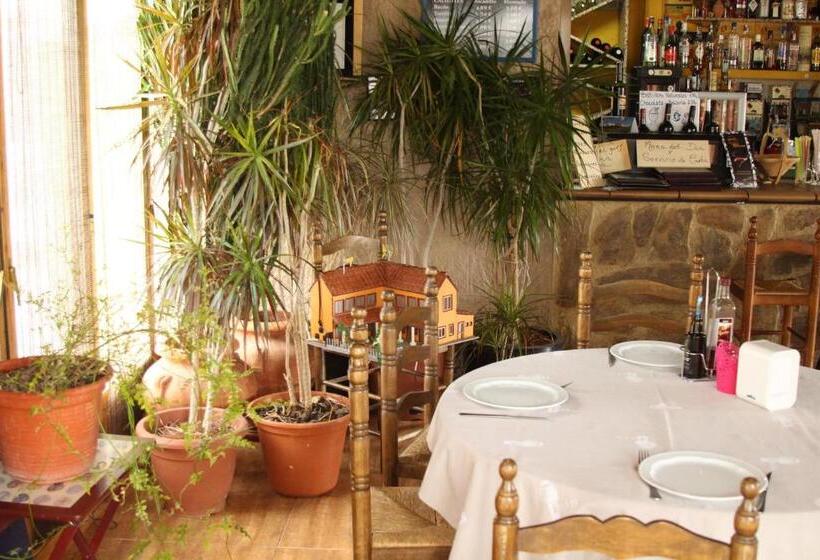 Отель Hostal Isis