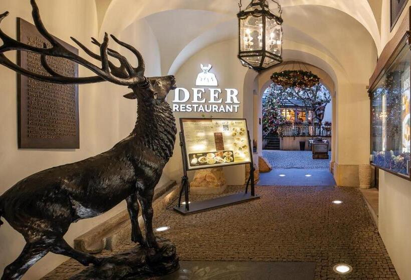 Iron Gate Hotel & Suites Prague By Bhg