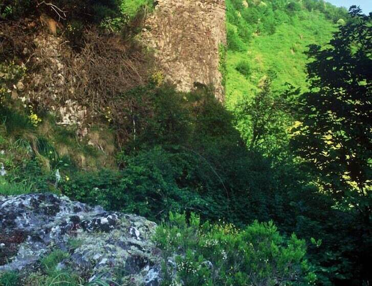 בית מלון כפרי Las Cruces