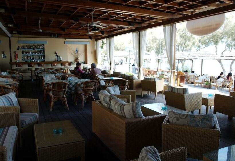 酒店 Levante Beach