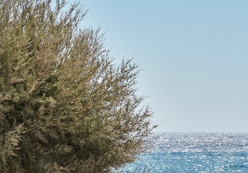 Hotel Nikki Beach Resort & Spa Santorini