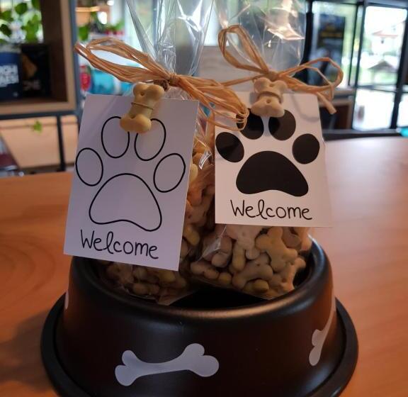 فندق Oleggio Malpensa