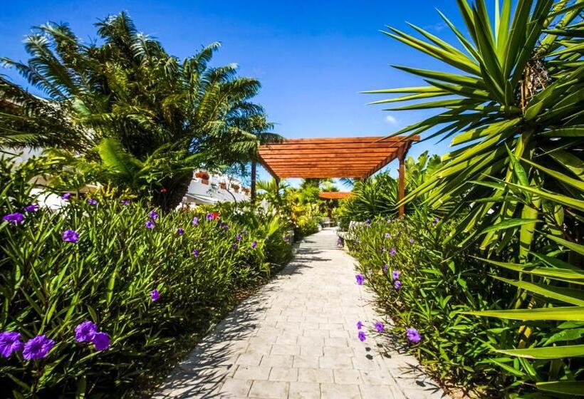 Отель Parque Don Jose Apartment