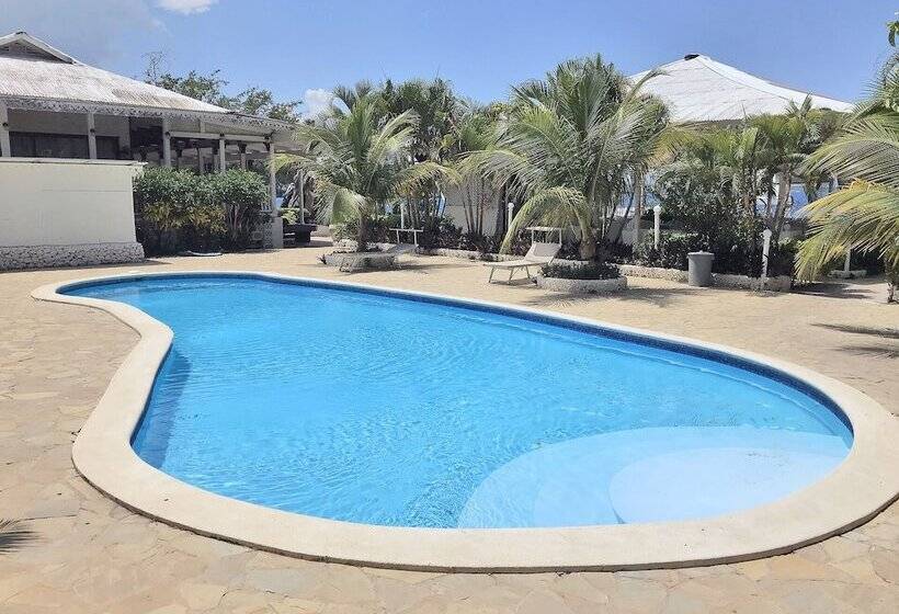 Отель Piergiorgio Palace