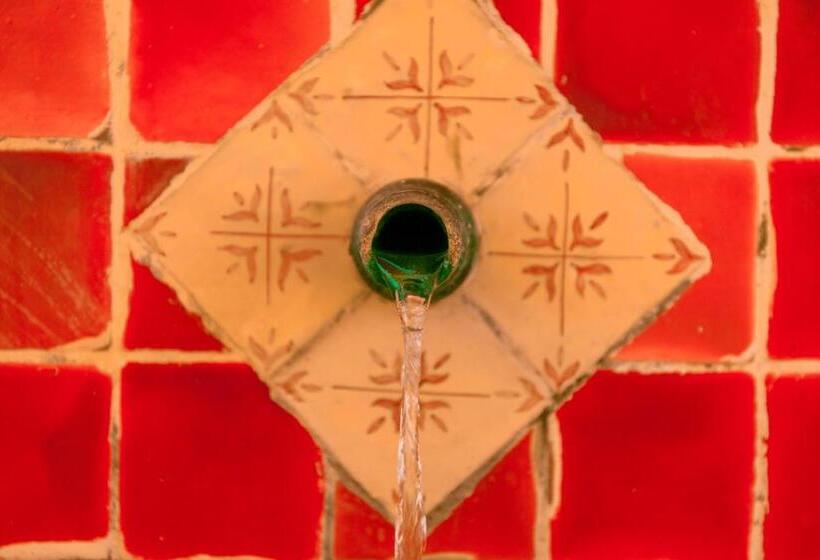 乡村酒店 Can Arabí Adults Only