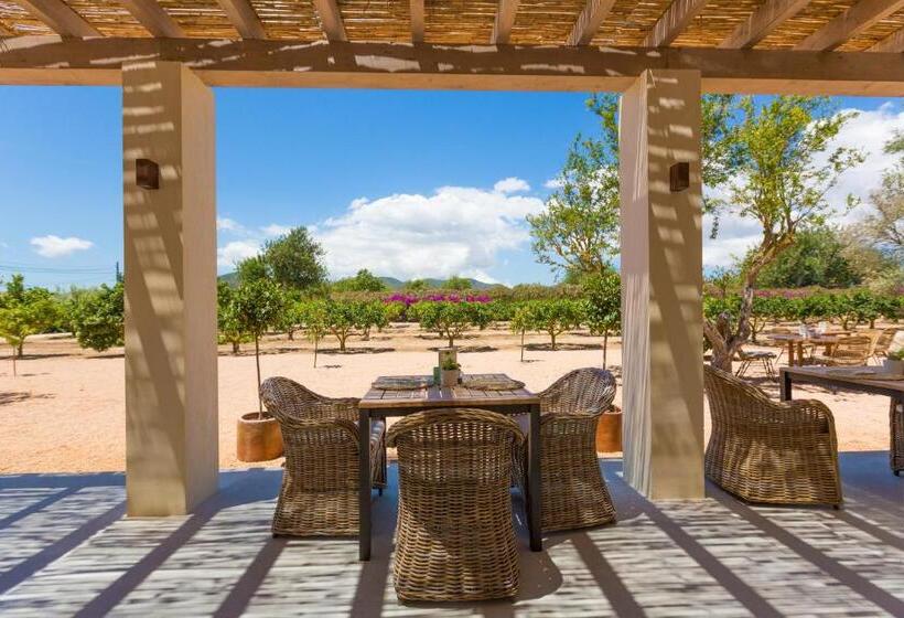 乡村酒店 Can Arabí Adults Only