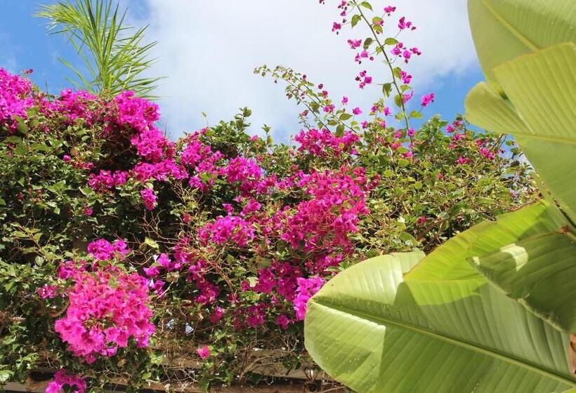 田舎風ホテル Rural Los Jarales