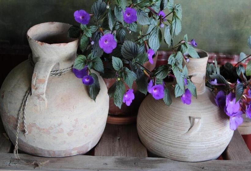 田舎風ホテル Rural Los Jarales