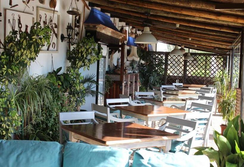 田舎風ホテル Rural Los Jarales