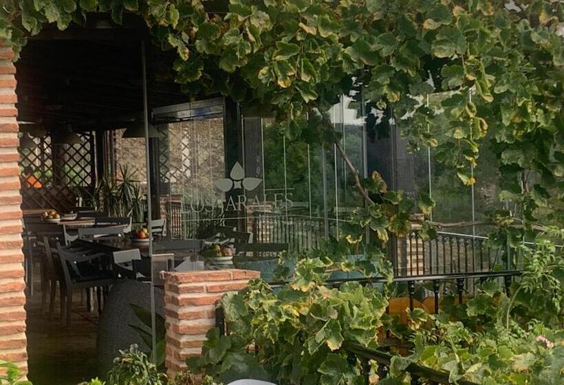 田舎風ホテル Rural Los Jarales