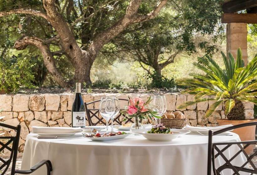 בית מלון כפרי Rural Son Mas 4