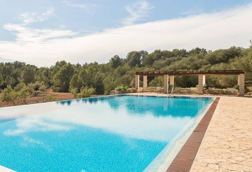 בית מלון כפרי Rural Son Mas  4