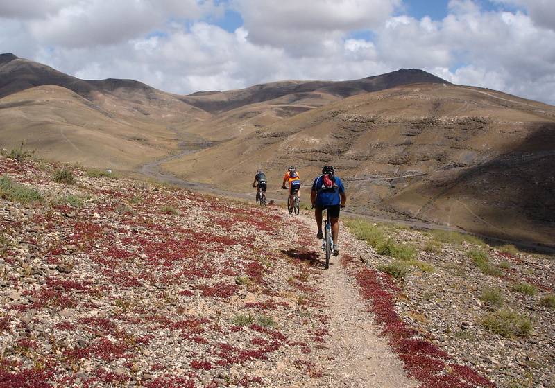 Отель Seaside Los Jameos