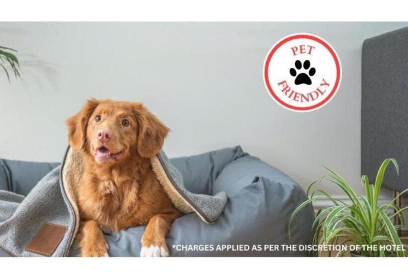 Hotel Tyler Northwest Mineola Hwy